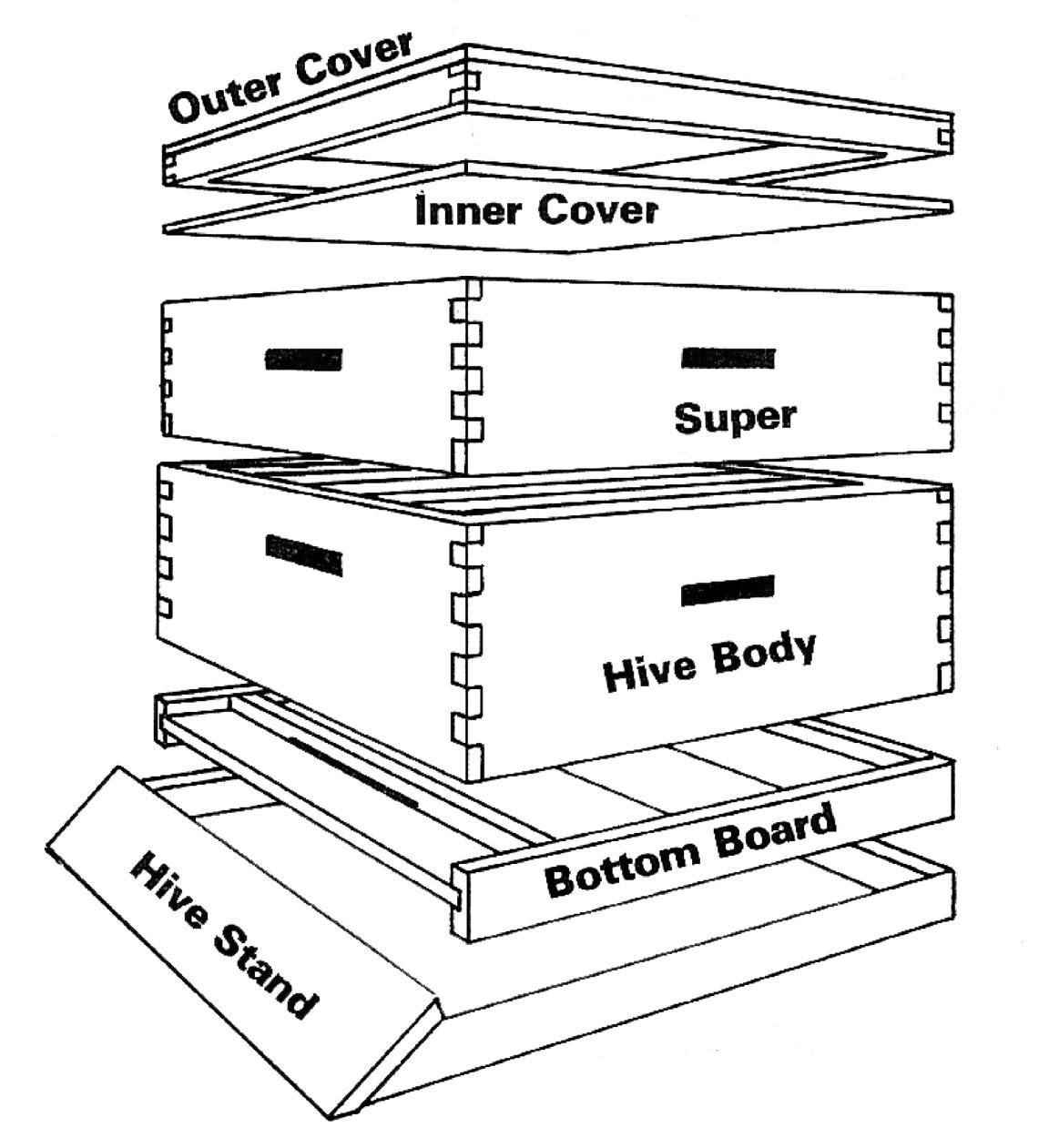 honey bee hive plans top bar hive plans pdf 8 frame bee hive plans top 